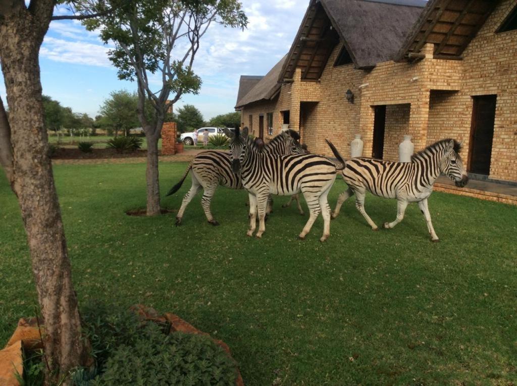 The Vaal Guesthouse Oranjeville Exterior photo